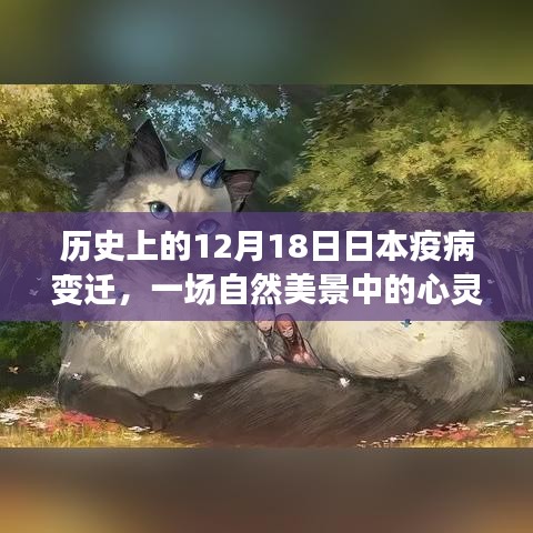 日本疫病史变迁与心灵之旅，自然美景下的历史印记（12月18日）