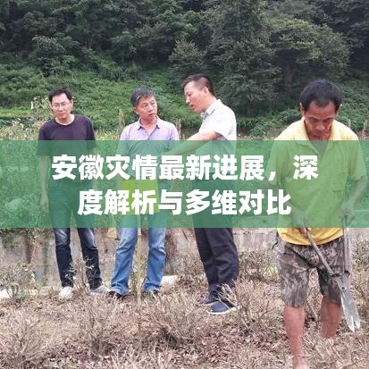 安徽灾情最新进展，深度解析与多维对比报告