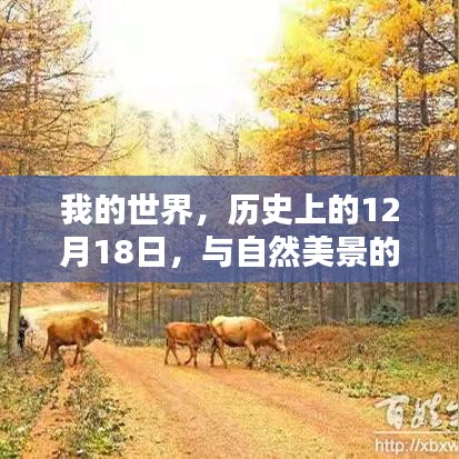 我的世界