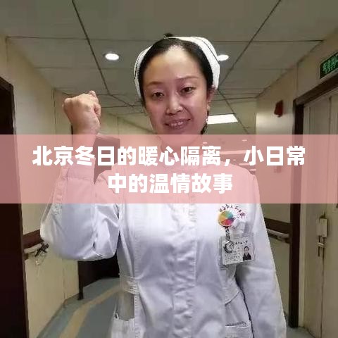 北京冬日暖心隔离，小日常中的温情与力量