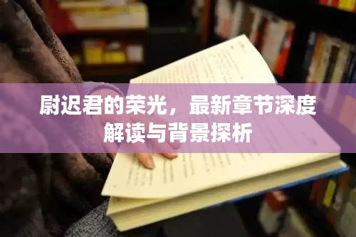 尉迟君的荣光，深度解读最新章节与背景探析