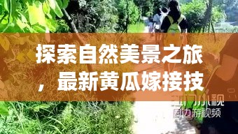 最新黄瓜嫁接技术视频，探寻自然美景，发现内心平静的力量之旅