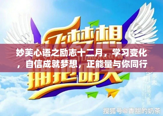 妙芙心语之励志十二月，自信成就梦想，正能量与你同行学习之旅