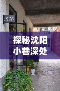 沈阳断桥门窗匠心坊，小巷深处的独特魅力探索