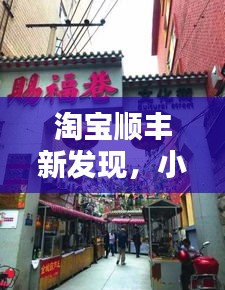 淘宝顺丰揭秘，小巷深处的独特宝藏店，特色小店的迷人魅力探索