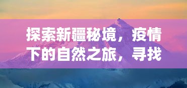 疫情下的新疆秘境探索，自然之旅与内心宁静的追寻