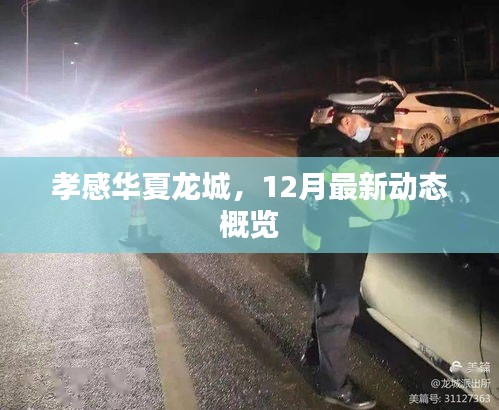 孝感华夏龙城12月最新动态概览