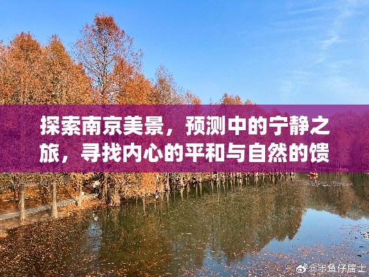南京之旅，探寻宁静之美，心灵与自然之约（2024年12月22日）