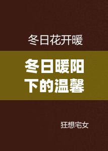 冬日暖阳下的日常与友情之光，占豪的温馨故事与友情光芒