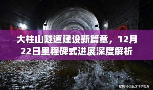 进展报告