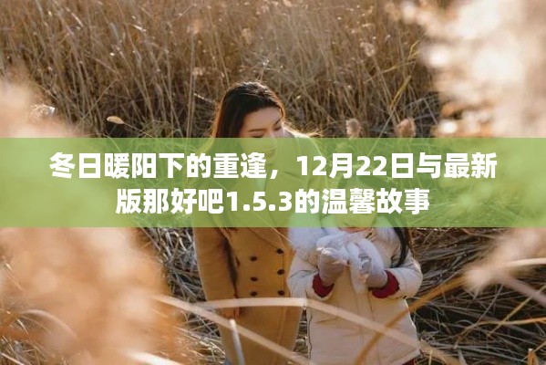 冬日暖阳下的重逢，最新版好吧1.5.3温馨故事开启于12月22日的约定