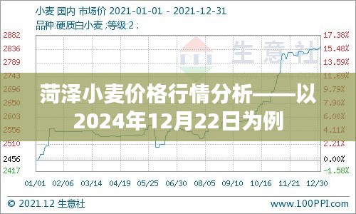 市场趋势