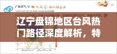 辽宁盘锦地区台风路径解析与用户体验分析，热门路径、特性与目标用户群体探讨