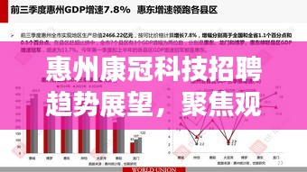 惠州康冠科技招聘展望，深度分析与个人立场聚焦