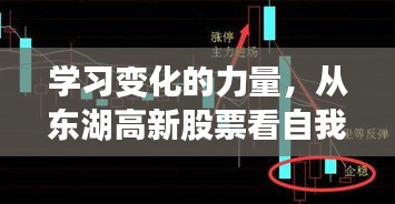 学习变化的力量，东湖高新股票见证自我超越的奇迹之路