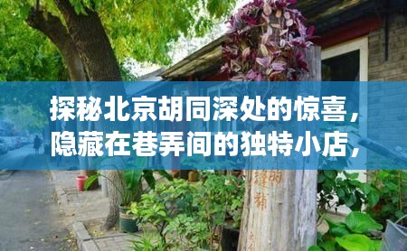 独特小店探秘