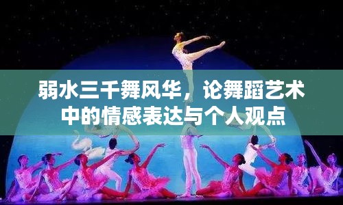 弱水三千舞风华，舞蹈艺术中的情感表达与个人观点探究