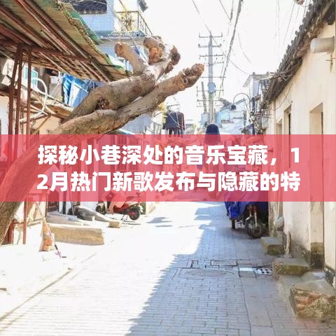 探秘小巷音乐宝藏，揭秘十二月热门新歌与隐藏特色小店