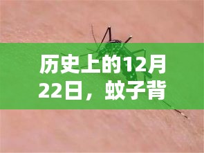 蚊子背后的新闻风暴，历史视角下的12月22日