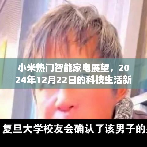 小米科技未来展望，智能家电引领未来科技生活新体验（2024年12月22日）