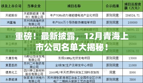 青海上市公司名单大揭秘，重磅披露，最新十二月名单出炉！