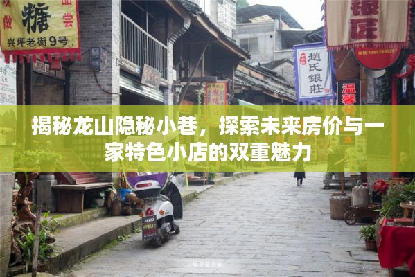 龙山隐秘小巷探秘，未来房价与特色小店双重魅力揭秘