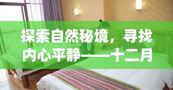 十二月印度边境之旅，探寻自然秘境，追寻内心平静之旅