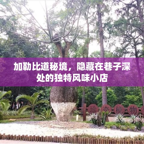 怀真抱素 第2页
