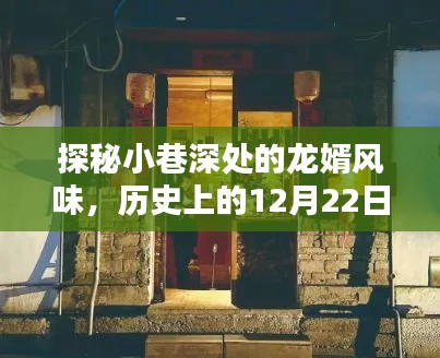 探秘小巷深处的龙婿风味，历史中的美食时光之旅，特色小店闪耀于12月22日