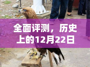 全面评测，最新退役种公斗鸡特性、体验、竞品对比及用户群体深度剖析