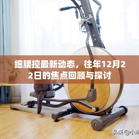 细腰控最新动态回顾，12月22日的焦点探讨与回顾