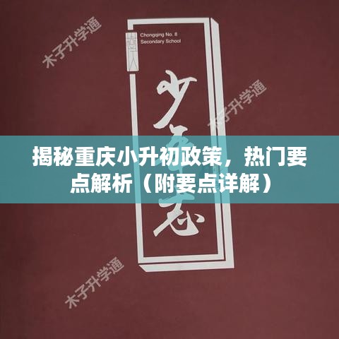 揭秘重庆小升初政策，热门要点深度解析与详解攻略