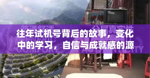 往年试机号背后的故事，探索变化中的学习之路与自信成就感的源泉