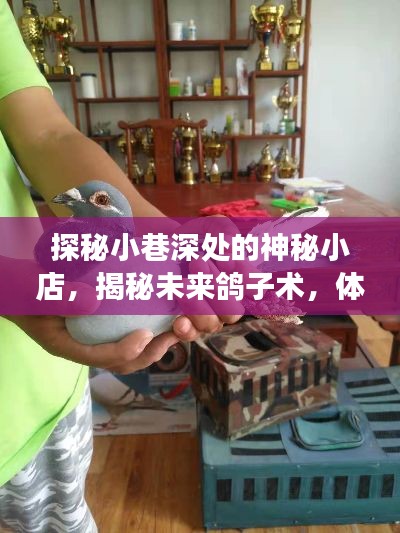 惊喜之旅