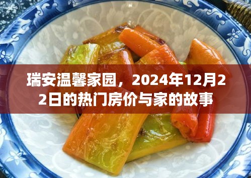 家的故事
