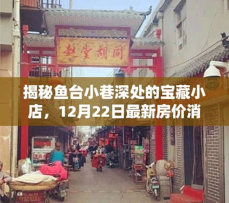 鱼台小巷宝藏小店揭秘与最新房价消息12月22日速递