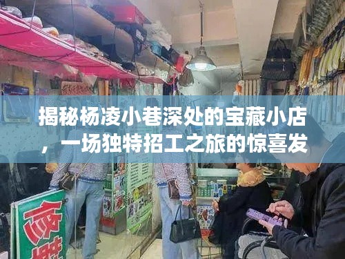 杨凌小巷深处的宝藏小店，独特招工之旅的意外发现