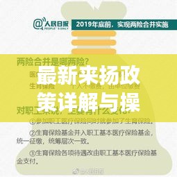 实操指南