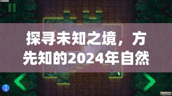 方先知的未知之旅，探寻自然秘境的新篇章（2024年）