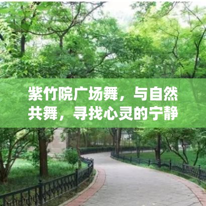 紫竹院广场舞，与自然共舞，心灵宁静之所寻