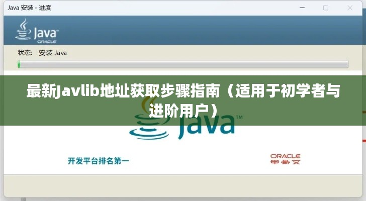 Javlib地址获取步骤详解，初学者与进阶用户的必备指南