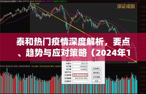泰和疫情深度解析，要点、趋势与应对策略（最新报告，2024年12月）