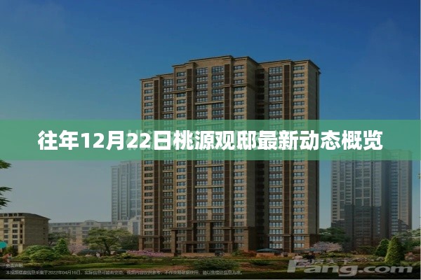 往年12月22日桃源观邸动态概览