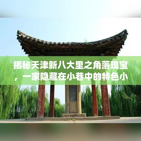 探秘天津新八大里隐秘角落，小巷中的特色小店新鲜探秘之旅