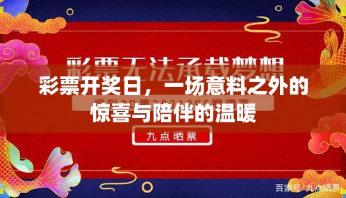 彩票开奖日，惊喜与陪伴的温暖时刻