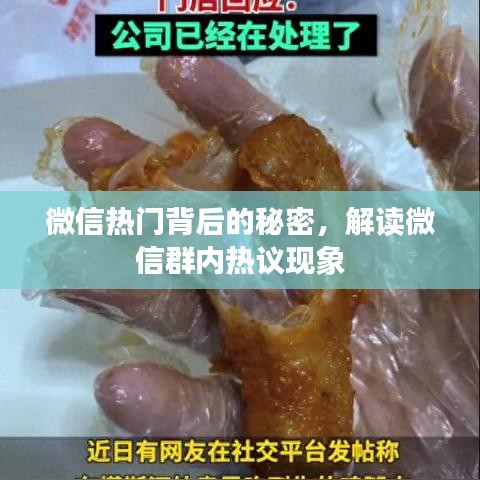 微信热门背后的秘密，揭秘微信群内热议现象解读