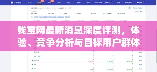 钱宝网最新消息深度解析，体验、竞争分析与目标用户群体全面剖析