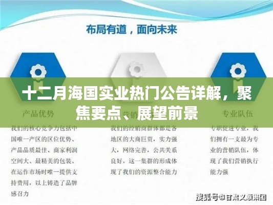 十二月海国实业公告详解，聚焦要点，展望未来发展前景