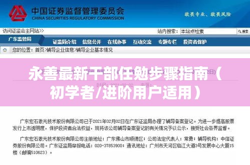 永善干部任勉步骤指南，从初学者到进阶用户的全面指引