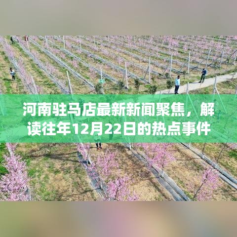 河南驻马店热点事件回顾与解读，往年12月22日新闻聚焦及其影响